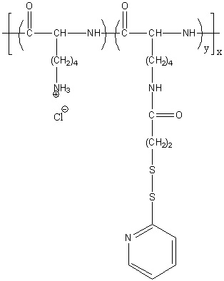 Poly(L-lysine hydrochloride) Graft Thiol